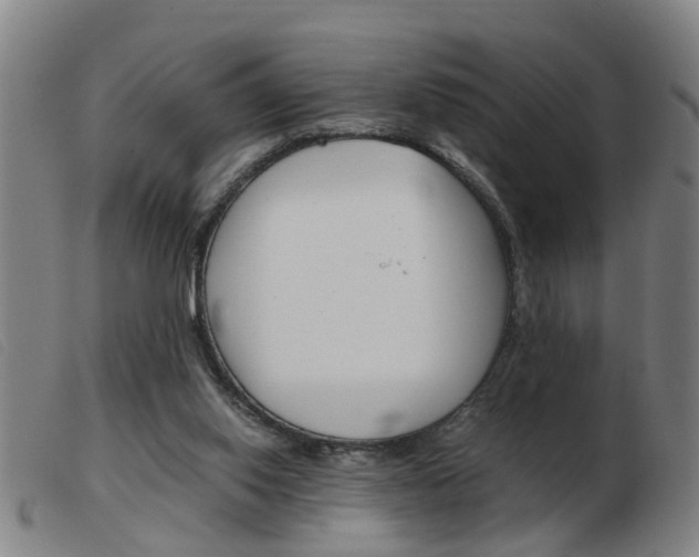 X0000103960062200809191344