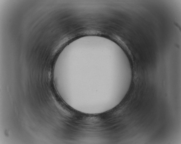 X0000103960063200809191344