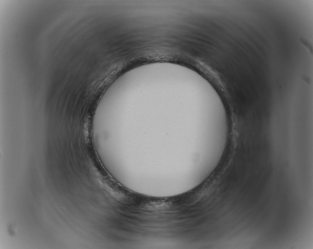 X0000103960065200809191344