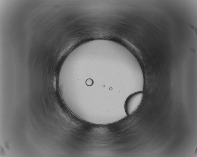 X0000103960067200809191344
