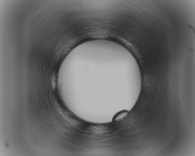 X0000103960069200809191344