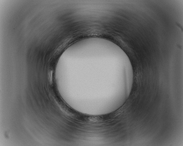 X0000103960070200809191344