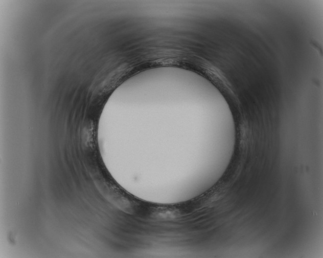 X0000103960073200809191344