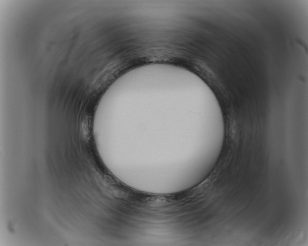 X0000103960074200809191344