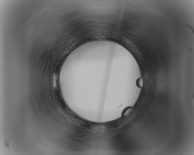 X0000103960075200809191344