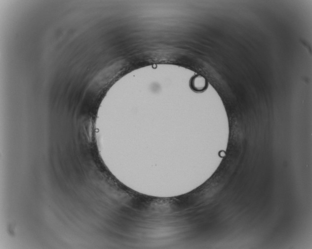 X0000103960076200809191344