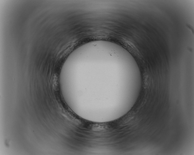 X0000103960077200809191344