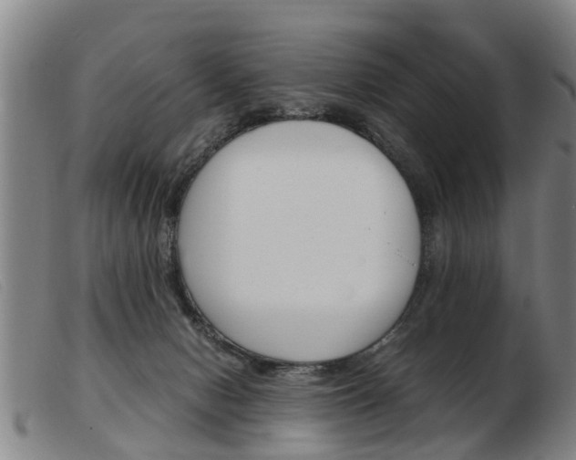X0000103960078200809191344