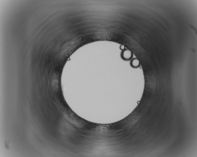 X0000103960080200809191344