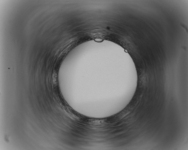 X0000103960081200809191344