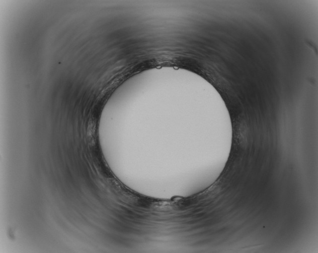 X0000103960082200809191344
