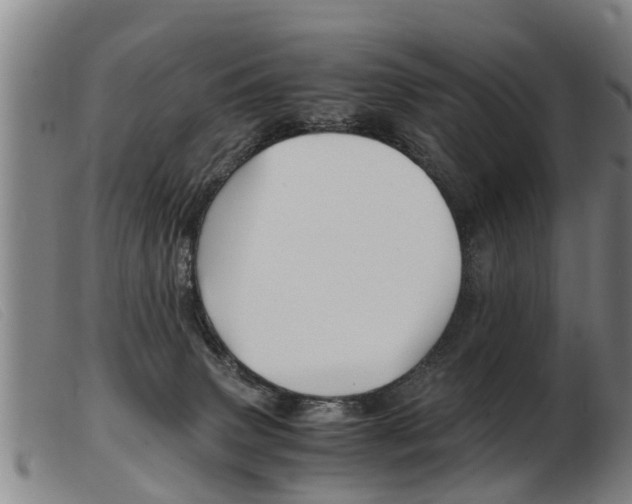 X0000103960083200809191344