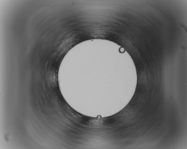 X0000103960084200809191344