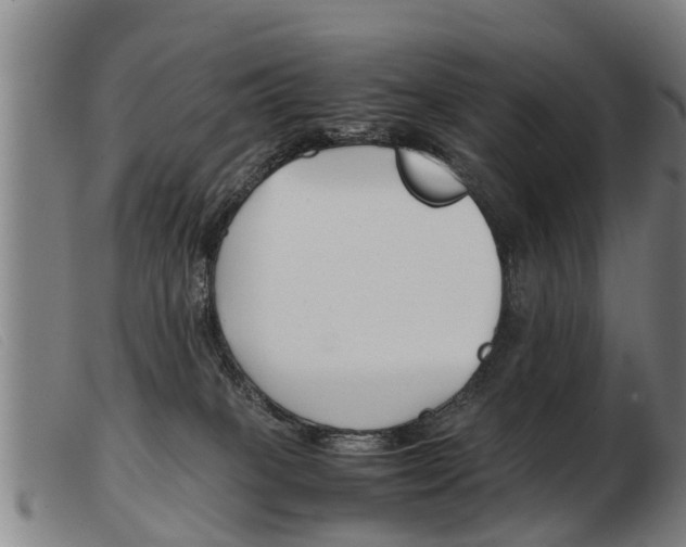 X0000103960085200809191344