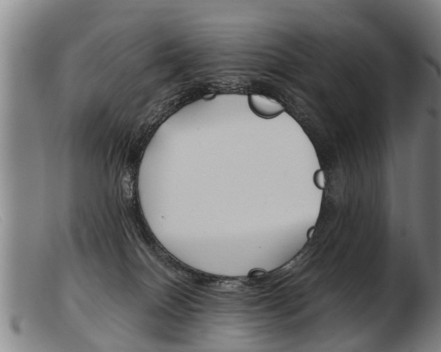 X0000103960086200809191344