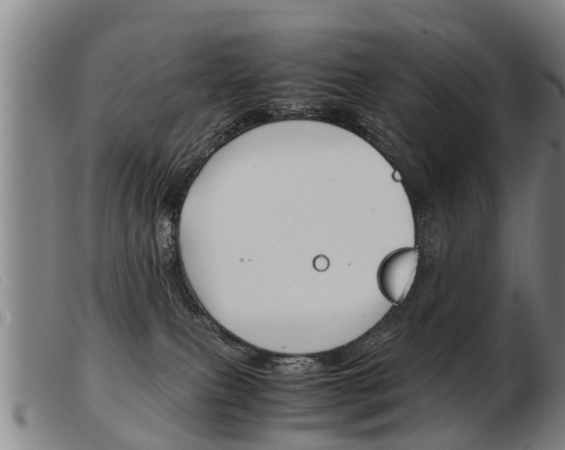 X0000103960087200809191344