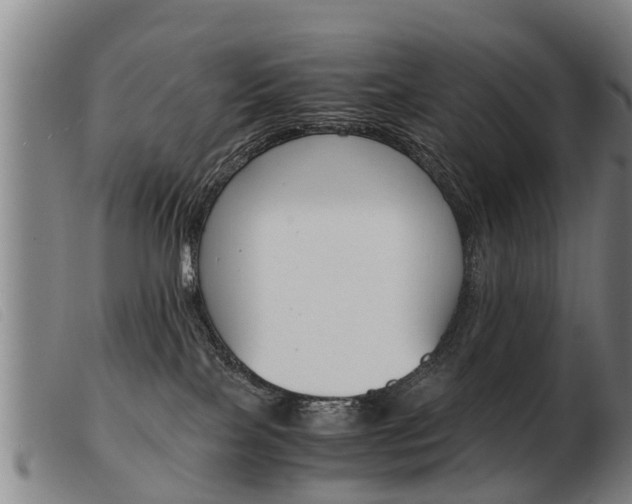 X0000103960089200809191344