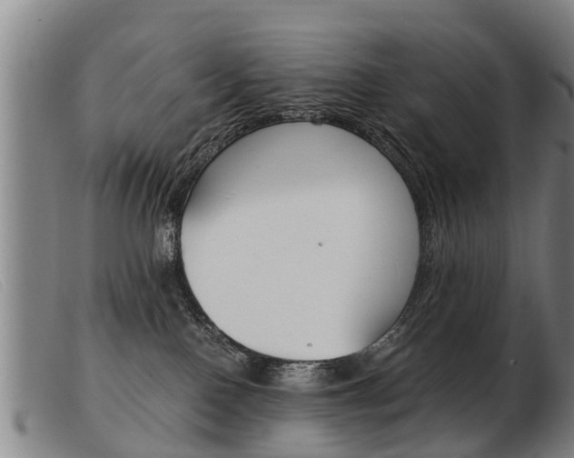 X0000103960090200809191344