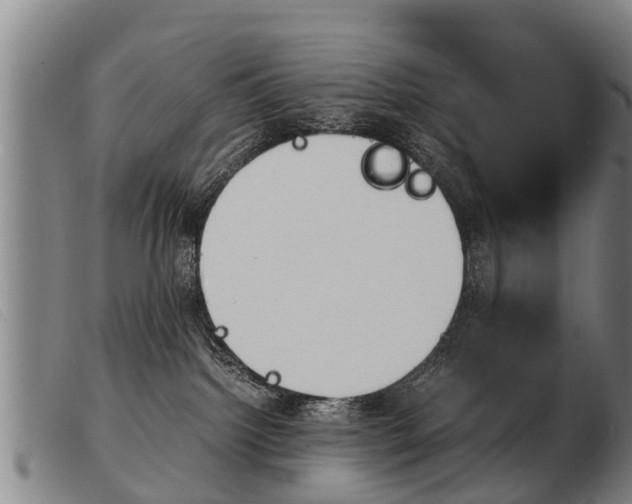 X0000103960092200809191344