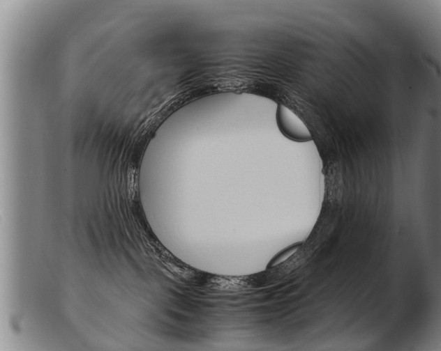 X0000103960093200809191344