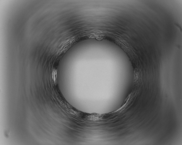 X0000103960094200809191344