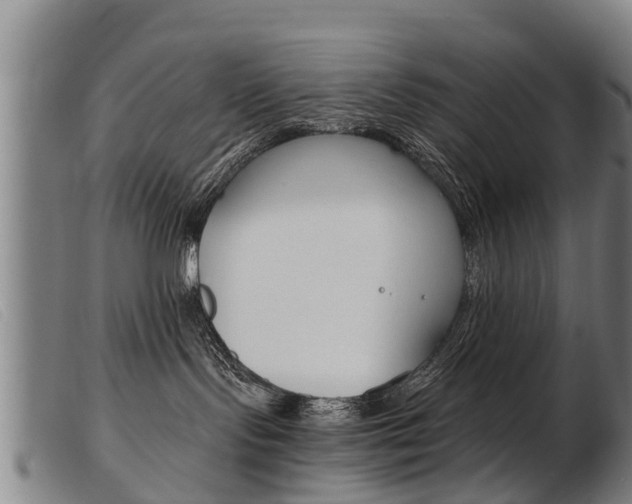 X0000103960095200809191345