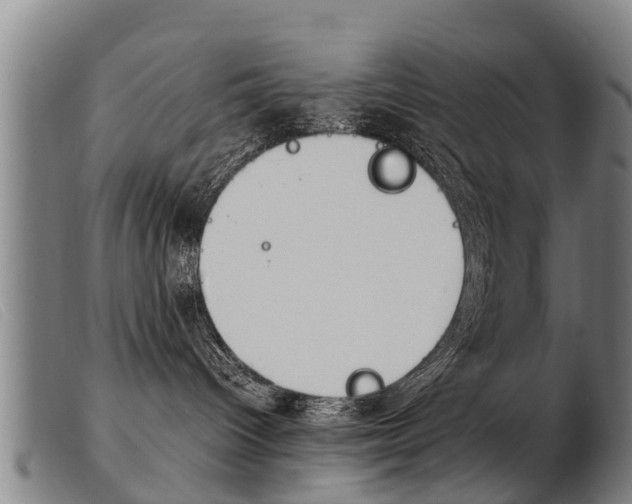 X0000103960096200809191345