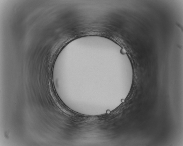 X0000103960097200809191344