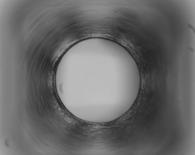 X0000103960098200809191344