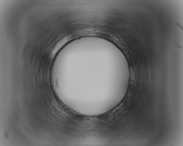 X0000103960099200809191344