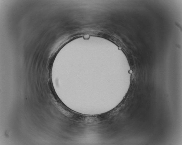 X0000103960101200809191344