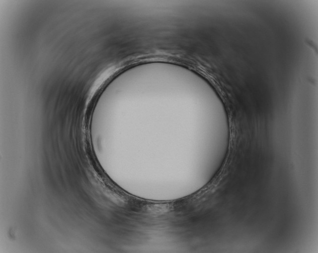 X0000103960102200809191344