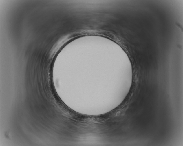 X0000103960103200809191344