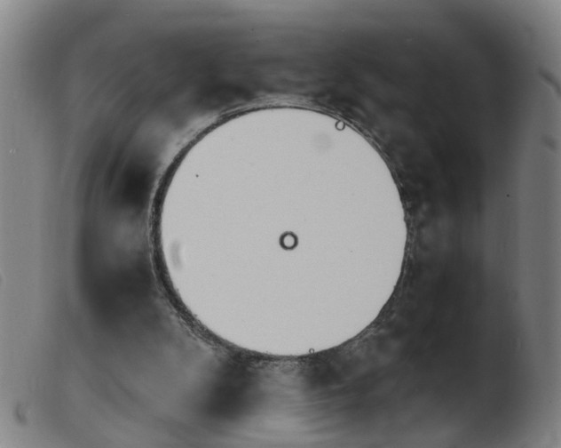 X0000103960104200809191344