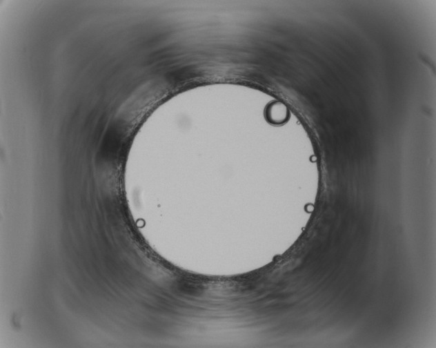 X0000103960105200809191344