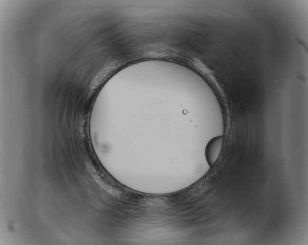 X0000103960106200809191344
