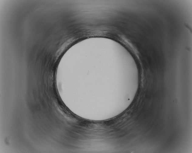 X0000103960107200809191344