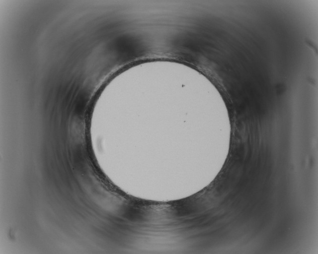 X0000103960108200809191344