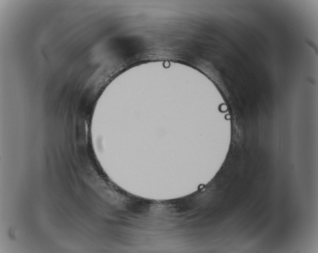 X0000103960109200809191344