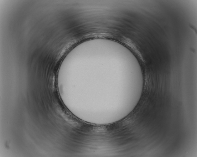 X0000103960110200809191344