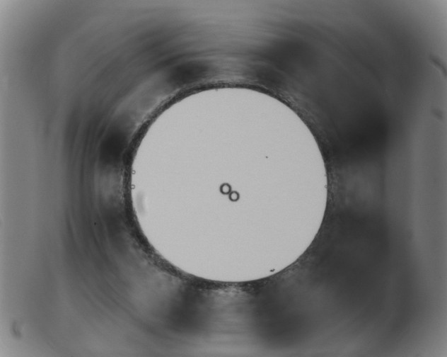 X0000103960112200809191343