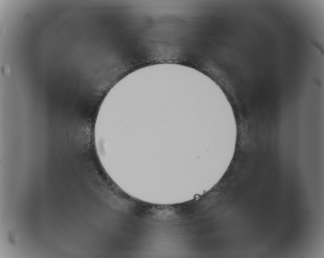 X0000103960113200809191343