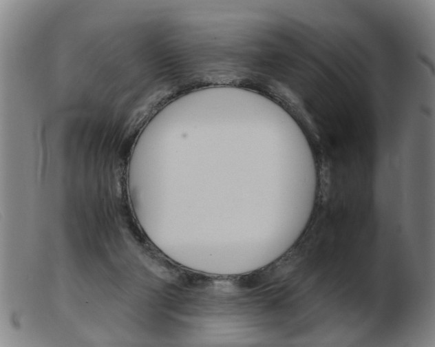 X0000103960114200809191343