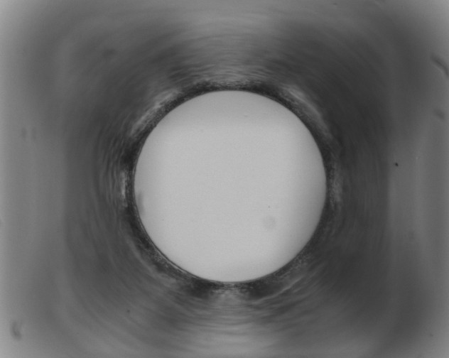 X0000103960115200809191343