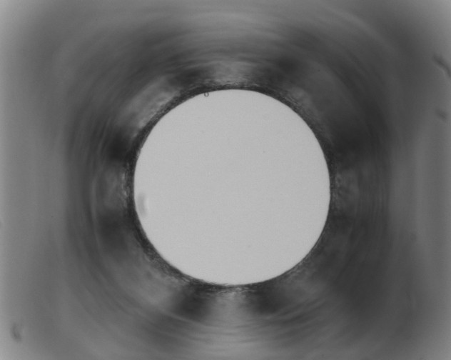 X0000103960116200809191343