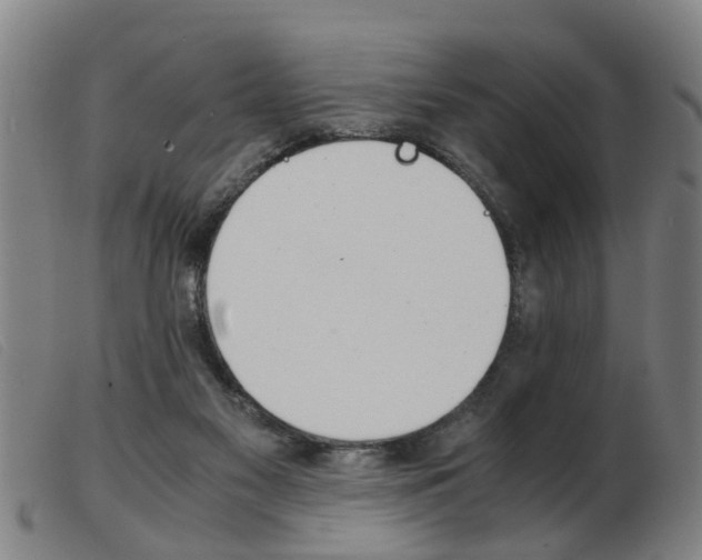 X0000103960117200809191343