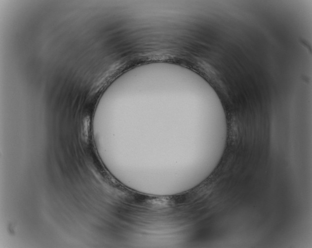 X0000103960118200809191343