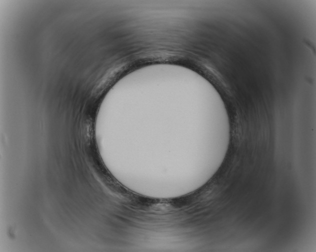 X0000103960119200809191343