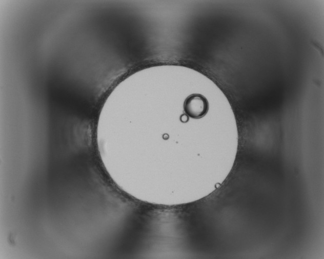 X0000103960120200809191343