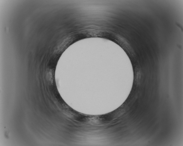X0000103960121200809191343